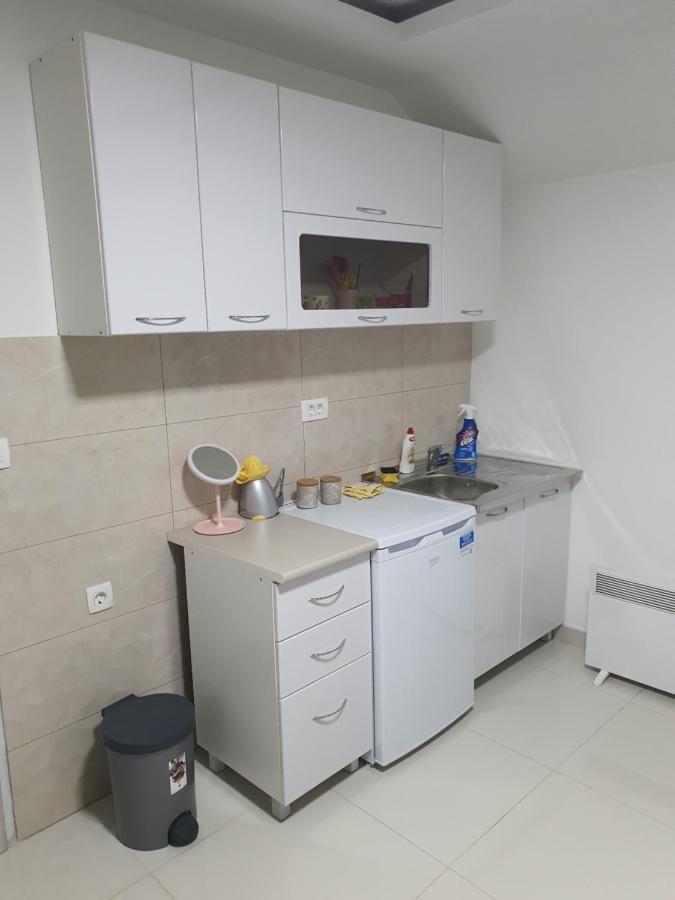 Apartman Tolosi 2 Podgoriţa Exterior foto